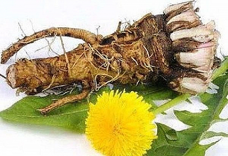 Одуванчика корни 50 гр ИП Гордеев